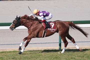 有馬記念ウィークに悲しい一報「マジか」「今年多い」　9か月以上…競馬ファン落胆「辛い」