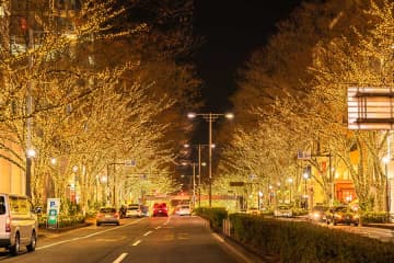 「日本が大好きですっかりくつろいでいます」　駐日デンマーク大使の子どもたちが地下鉄に“降臨”　日常に溶け込む姿に反響　「素敵すぎてひれ伏したい」