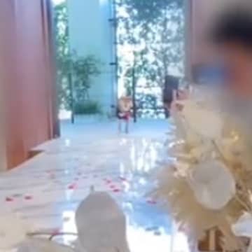 リングドッグに挑戦した６歳の犬→完璧にこなしたかと思いきや…まさかの『態度の急変っぷり』に爆笑「あげるあげる詐欺ｗｗ」「頑張ったね」