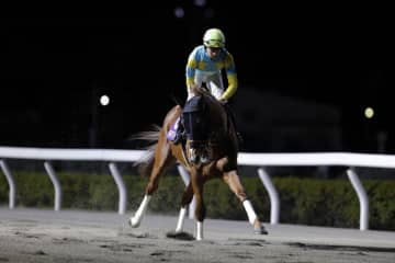 【名古屋大賞典】デルマソトガケは3枠3番へ