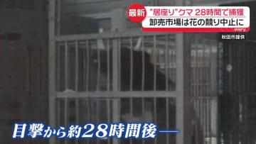 居座りクマ、28時間で捕獲　秋田市の卸売市場は花の競り中止に