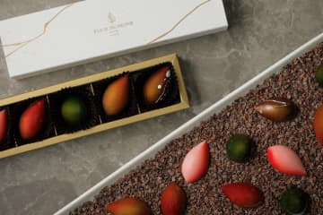 フォーシーズンズホテル京都26年バレンタインチョコボックス、”京都の情景”着想の桜香るショコラ