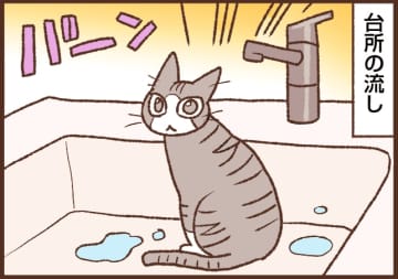 【吉川さん家の猫事情】#123話 ネコは水がキライ！