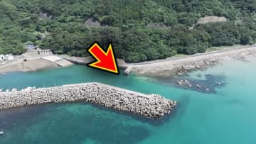 「マジで釣れるの…」「ヤバいくらいいるかも」身近な堤防で“記録クラス”を狙った結果。「幻の噂を確かめていきます」