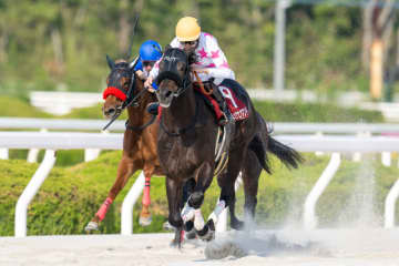 【兵庫ゴールドトロフィー】マテンロウコマンドは8枠11番