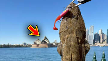 「実は激アツです」オペラハウスの前で釣りをしてみたら…。カツオからサメまで釣れるってホント!?