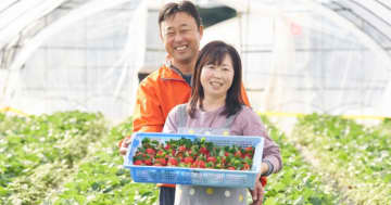 【チイオシ鉾田市プロジェクト第七弾】〈いちご収穫＆カフェのお手伝い〉2026年2月21日いちご一筋、最前線を走る鉾田市・村田農園で「かっこいい農業」を実感しに来ませんか？