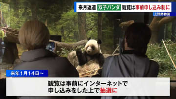 1月返還の双子パンダ、観覧は事前申し込み制に　上野動物園