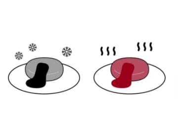 焼く？ゆでる？ ウインナーを劇的に美味くする調理法とは！？【眠れなくなるほど面白い 図解 料理の話/鳥羽周作】