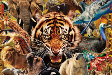 「超危険生物展」東京・国立科学博物館で26年春開催、自然界を生き抜く“必殺技”に迫る