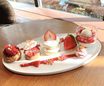 【いちご！苺！】2025年冬・最新版！いま絶対食べるべき「極上の旬いちごスイーツ」最前線♪