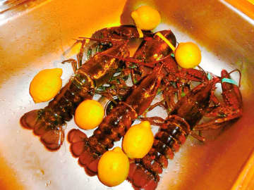 英国がロブスターを生きたままゆでるの禁止、中国ネット「偽善」「だったら食べるな」