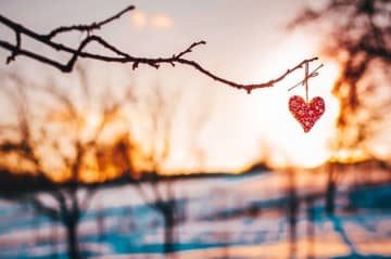 1月は金運だらけ！2026年カレンダーに書いて運を取りこぼさない！【Dr.コパの風水解説】