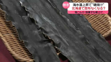 昆布、記録的不漁で価格高騰　年越しそば直撃、ご飯のお供や駄菓子も値上げ　北海道で昆布とれなくなる？