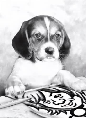 ORANGE RANGEのnaotohiroyama、自身初の360 Reality Audio音源「fish」リリース