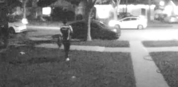 愛猫がいなくなった…。ドアホンのカメラには配達員が猫を連れ去る姿、映像に「心が痛む」