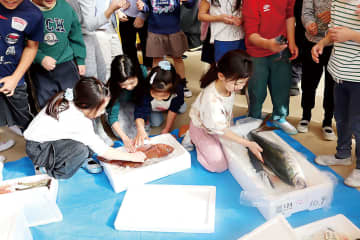 児童が本物の魚にタッチ　食育活動の一環で　埼玉・和光の小学校　体験を通じて魚への理解を深める　刺し身が出来上がる様子を目の当たりに