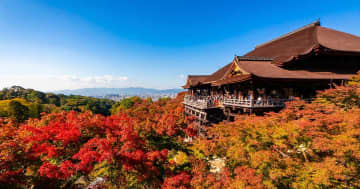 １泊5000円台！「中国人観光客激減に日本人歓喜」…宿泊税は根拠失う「もはやホテルいじめだ」日本国民への増税