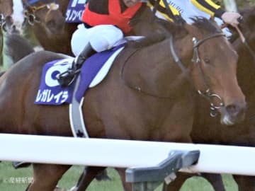 【有馬記念】勝率50％も中山実績に乏しい馬は①人気でも疑え！過去10年の傾向から見る人気と配当