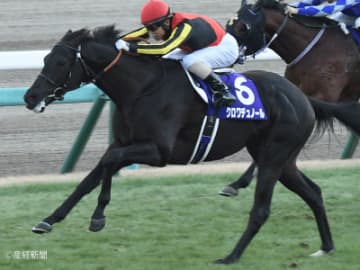 【ホープフルS】①人気は超のつく高信頼度！過去10年の傾向から見る人気と配当