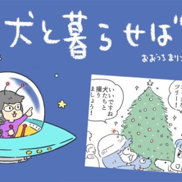 犬と暮らせば【第521話】「聖夜の罠」