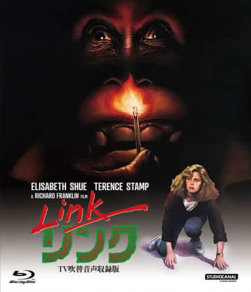 頭脳明晰なチンパンジーが女子大生を襲う！　本物ならではの恐怖が見事な動物ホラー　『リンク』