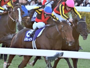 【有馬記念】ジャパンＣ組は実は好走確率は高くない！信頼度が高いステップは？ステップレースから見る過去10年の傾向