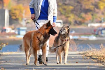 断った妻を無視して夫が勝手に決定…70代夫婦のいびつな関係に夫婦カウンセラーがアドバイス