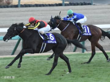 【ホープフルS】新馬組はＧⅠ昇格後は連対例なし！勝ち馬が出ている有力ステップとは！？ステップレースから見る過去10年の傾向