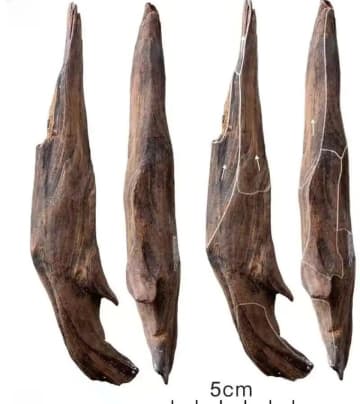 CMG、2025年の「中国内外の十大考古学ニュース」を発表