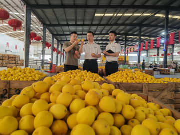 中国重慶市、輸出入額が11月までに前年超え　ASEANが最大貿易相手