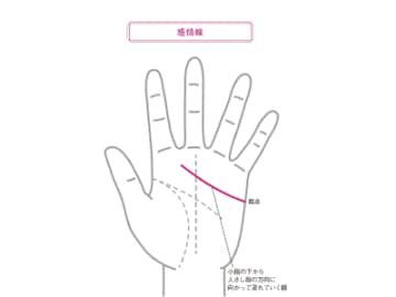 心や愛情に関することが強く出る感情線の見方とは！？【手相の教科書】