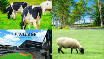 札幌近郊のおすすめ牧場10選！動物とのふれあいやグルメが楽しめるスポットを紹介