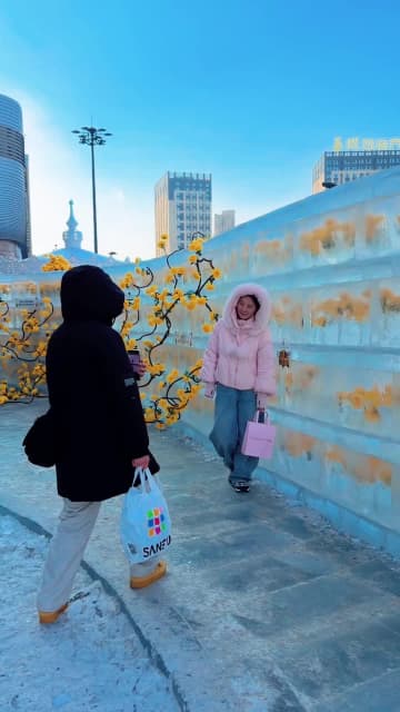 冬を彩る「氷中のバラ」、装い新たに再び登場　中国・ハルビン市