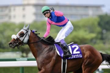 【武豊日記】大目標がいよいよ今週です