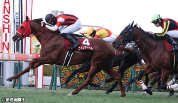 【阪神カップ】比較的人気馬の安定したレース！過去10年の傾向から見る人気と配当