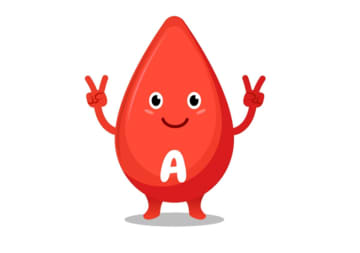 血液型別！2025年の振り返りポイント＆2026年の運勢