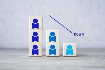 「コスト削減は微々たるもの」「全く理解できない」定数削減に期待できない理由とは？