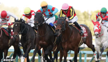 【阪神カップ】ルメール騎手が好相性！上位人気の牝馬への騎乗なら◎ 過去10年の傾向から考える攻略ポイント