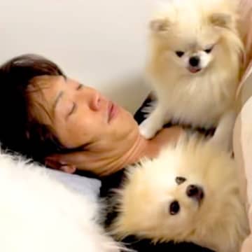 どうしても『パパの腕枕』で眠りたい犬たち→想像以上の『大喧嘩』に発展する光景が30万再生「大爆笑ｗｗ」「愛されてる」「パパモテモテ」