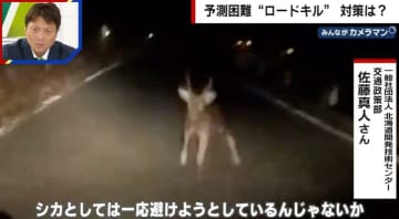 野生動物との衝突事故「ロードキル」どう注意する？ 専門家が指摘「見通しがいいのにブレーキ痕がある道路は動物が現れた可能性」