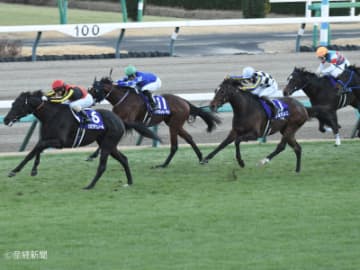 【ホープフルS】前走1800Ｍ以上の馬を狙え！前走距離で見る攻略POINT