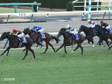 【ホープフルS】穴でも人気でも絶対にマーク！絶対に買うべき波乱の主役とは！？