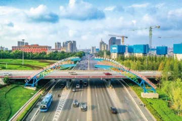 青島自由貿易区：生命健康産業は「ビーズ」を連ねて「チェーン」になる