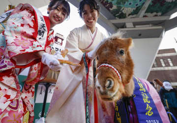 大阪・通天閣で干支の引き継ぎ　「午年へ馬っしぐら！」と口上