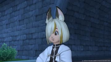 【旧Verは全部合わせて1,188円】『ドラクエ10』バージョン8、6月25日に発売決定！堀井雄二氏の手紙付き豪華ボックスも登場