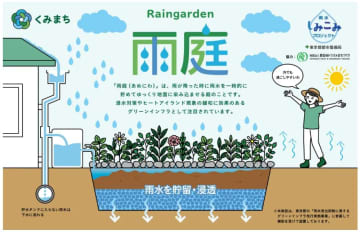 カインズ、都内2店舗に雨水の貯留・浸透機能を備えた「雨庭」モデル施設を設置