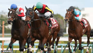 【阪神カップ】①〜③人気がオススメ！ 過去10年の傾向から見る3連単を的中させる軸馬の選び方