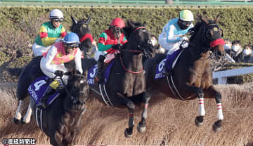 【中山大障害】経験がものを言う、ベテランに注目したい過去10年の傾向から考える攻略ポイント