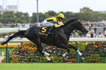 翌年のクラシック戦線に直結　将来性豊かな若駒トップ候補はアンドゥーリルで堅い!?【ホープフルS】